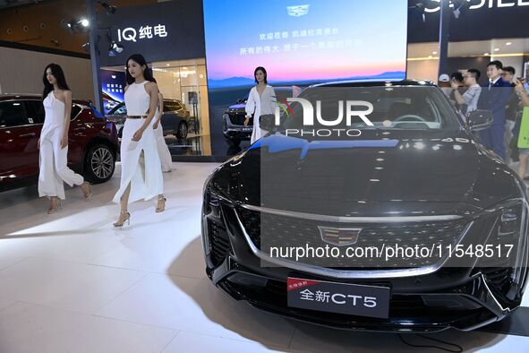 People look at various vehicles at the 23rd Autumn International Auto Show in Qingdao, China, on September 5, 2024. 