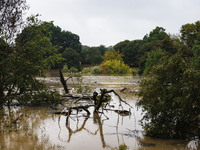 A view of roads and cars submerged during the storm and flooding of Ponte Lambro in Milan, Italy, on September 5, 2024 (