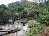 A view of roads and cars submerged during the storm and flooding of Ponte Lambro in Milan, Italy, on September 5, 2024 (