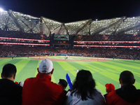 Diablos Rojos fans during match 1 against Sultanes de Monterrey of the Mexican Baseball League (LMB) Serie del Rey at the Alfredo Harp Helu...