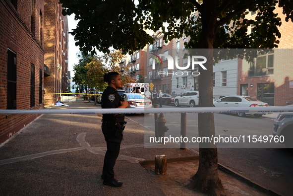 A 26-year-old male is shot in the head and pronounced dead on the scene in Bronx, New York, United States, on September 5, 2024. At approxim...