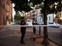 A 26-year-old male is shot in the head and pronounced dead on the scene in Bronx, New York, United States, on September 5, 2024. At approxim...