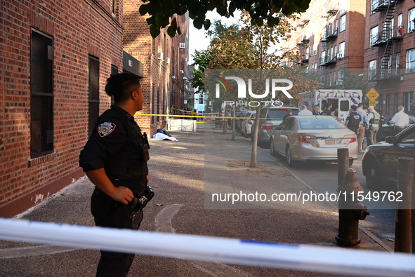 A 26-year-old male is shot in the head and pronounced dead on the scene in Bronx, New York, United States, on September 5, 2024. At approxim...