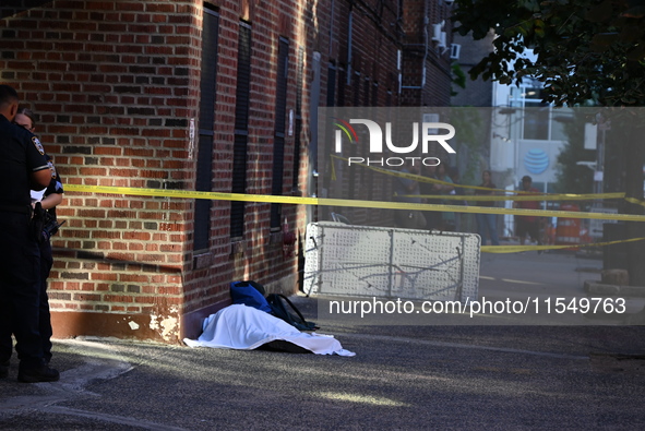 A 26-year-old male is shot in the head and pronounced dead on the scene in Bronx, New York, United States, on September 5, 2024. At approxim...