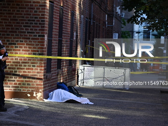 A 26-year-old male is shot in the head and pronounced dead on the scene in Bronx, New York, United States, on September 5, 2024. At approxim...