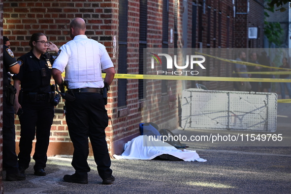 A 26-year-old male is shot in the head and pronounced dead on the scene in Bronx, New York, United States, on September 5, 2024. At approxim...