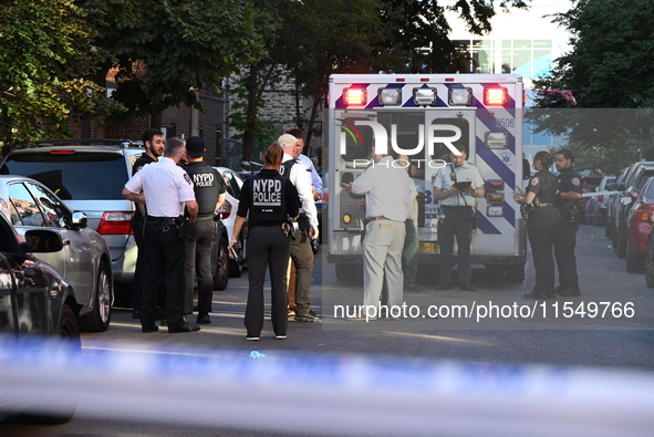 A 26-year-old male is shot in the head and pronounced dead on the scene in Bronx, New York, United States, on September 5, 2024. At approxim...