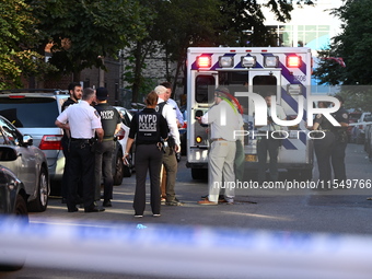 A 26-year-old male is shot in the head and pronounced dead on the scene in Bronx, New York, United States, on September 5, 2024. At approxim...