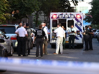 A 26-year-old male is shot in the head and pronounced dead on the scene in Bronx, New York, United States, on September 5, 2024. At approxim...