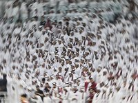 Qatar team supporters cheer for their team during the qualification 3rd round for the FIFA World Cup 2026 group A match between Qatar and Un...