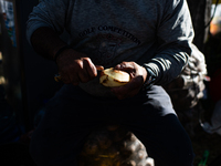 Truck drivers and their relatives take part in a community lunch and camp in northern Bogota, as truckers demonstrate against the increase i...