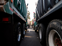 Rows of parked trucks are seen as truckers demonstrate against the increase in diesel prices in Bogota, Colombia, on September 5, 2024. (