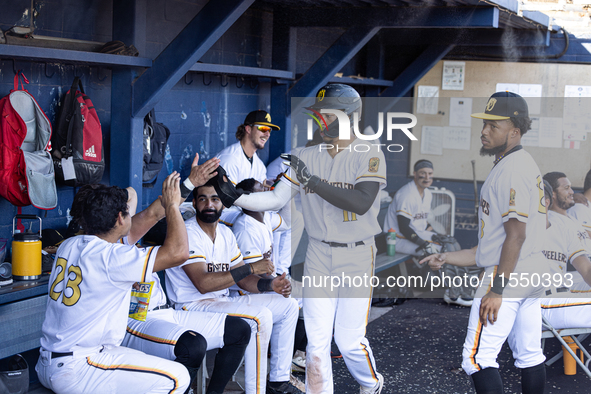 The Yolo High Wheelers celebrate clinching their spot in the 2024 Pioneer Baseball League Playoffs at Dobbins Stadium in Davis, Calif., on S...