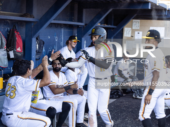 The Yolo High Wheelers celebrate clinching their spot in the 2024 Pioneer Baseball League Playoffs at Dobbins Stadium in Davis, Calif., on S...