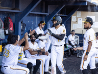 The Yolo High Wheelers celebrate clinching their spot in the 2024 Pioneer Baseball League Playoffs at Dobbins Stadium in Davis, Calif., on S...