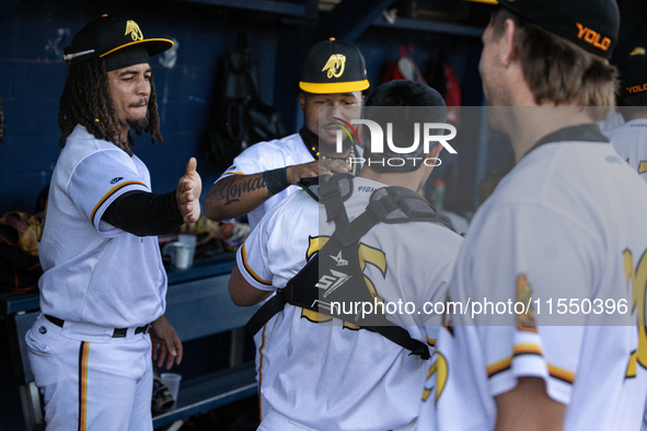 The Yolo High Wheelers celebrate clinching their spot in the 2024 Pioneer Baseball League Playoffs at Dobbins Stadium in Davis, Calif., on S...