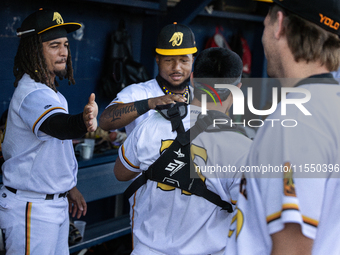 The Yolo High Wheelers celebrate clinching their spot in the 2024 Pioneer Baseball League Playoffs at Dobbins Stadium in Davis, Calif., on S...