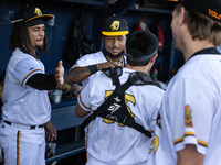 The Yolo High Wheelers celebrate clinching their spot in the 2024 Pioneer Baseball League Playoffs at Dobbins Stadium in Davis, Calif., on S...