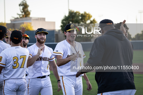 The Yolo High Wheelers celebrate clinching their spot in the 2024 Pioneer Baseball League Playoffs at Dobbins Stadium in Davis, Calif., on S...