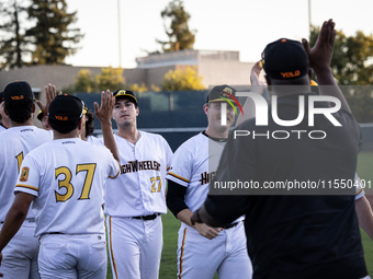 The Yolo High Wheelers celebrate clinching their spot in the 2024 Pioneer Baseball League Playoffs at Dobbins Stadium in Davis, Calif., on S...