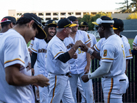 The Yolo High Wheelers celebrate clinching their spot in the 2024 Pioneer Baseball League Playoffs at Dobbins Stadium in Davis, Calif., on S...