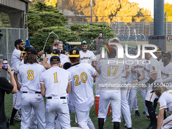 The Yolo High Wheelers celebrate clinching their spot in the 2024 Pioneer Baseball League Playoffs at Dobbins Stadium in Davis, Calif., on S...