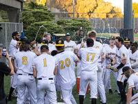 The Yolo High Wheelers celebrate clinching their spot in the 2024 Pioneer Baseball League Playoffs at Dobbins Stadium in Davis, Calif., on S...