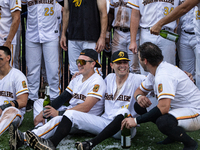 The Yolo High Wheelers celebrate clinching their spot in the 2024 Pioneer Baseball League Playoffs at Dobbins Stadium in Davis, Calif., on S...