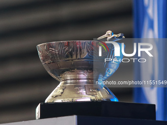 The Zaachila cup is seen during match 2 between Sultanes de Monterrey and Diablos Rojos del Mexico of the King series 2024 as part of the Me...