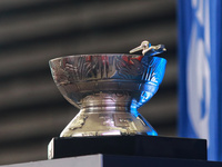 The Zaachila cup is seen during match 2 between Sultanes de Monterrey and Diablos Rojos del Mexico of the King series 2024 as part of the Me...