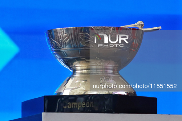 The Zaachila cup is seen during match 2 between Sultanes de Monterrey and Diablos Rojos del Mexico of the King series 2024 as part of the Me...