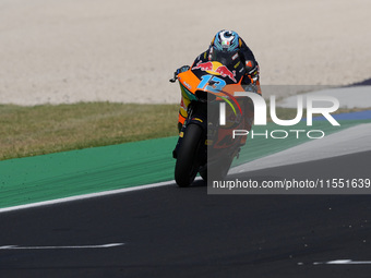 Celestino Vietti of Italy and Red Bull KTM Ajo rides on track during Moto2 Free Practice of MotoGP Of San Marino at Misano World Circuit in...