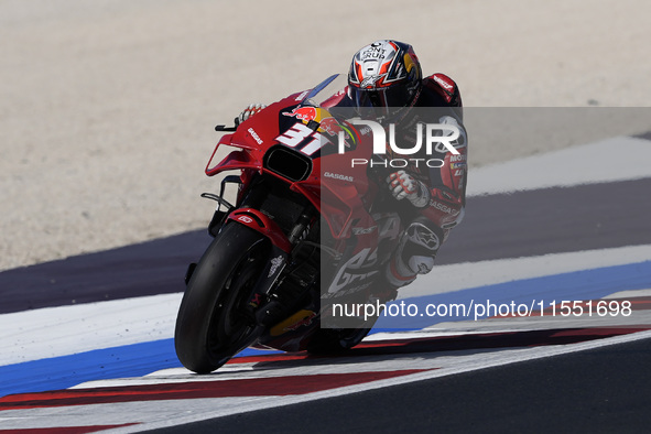 Pedro Acosta of Spain and Red Bull GASGAS Tech3 rides on track during Free Practice of MotoGP of San Marino at Misano World Circuit in Misan...