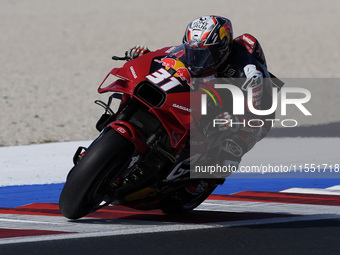 Pedro Acosta of Spain and Red Bull GASGAS Tech3 participates in Free Practice of MotoGP of San Marino at Misano World Circuit in Misano Adri...