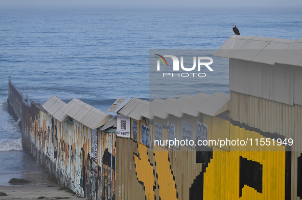 A new interactive mural of deported veterans, ''The Deported Veterans Diaspora,'' is at the Playas de Tijuana beach border wall on the Tijua...