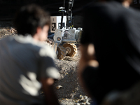 The International Mars Rover Challenge takes place at the AGH University of Science and Technology in Krakow, Poland, on September 6, 2024....