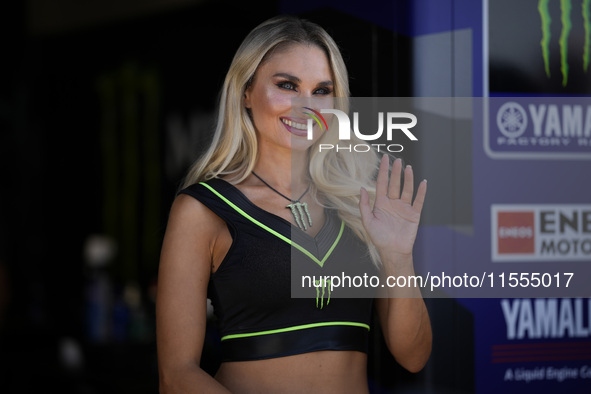 Monster energy girls smile during the Sprint Race of MotoGP of San Marino at Misano World Circuit in Misano Adriatico, Italy, on September 0...