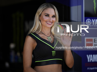 Monster energy girls smile during the Sprint Race of MotoGP of San Marino at Misano World Circuit in Misano Adriatico, Italy, on September 0...