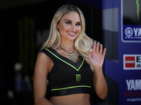 Monster energy girls smile during the Sprint Race of MotoGP of San Marino at Misano World Circuit in Misano Adriatico, Italy, on September 0...