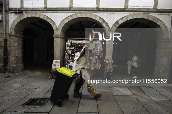 The annual parade of traditional costumes for the entroido, as the carnival is known in Galicia, takes place through the streets of Santiago...