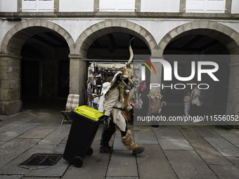 The annual parade of traditional costumes for the entroido, as the carnival is known in Galicia, takes place through the streets of Santiago...