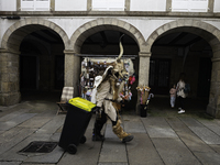 The annual parade of traditional costumes for the entroido, as the carnival is known in Galicia, takes place through the streets of Santiago...