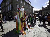 The annual parade of traditional costumes for the entroido, as the carnival is known in Galicia, takes place through the streets of Santiago...