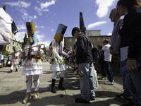 The annual parade of traditional costumes for the entroido, as the carnival is known in Galicia, takes place through the streets of Santiago...