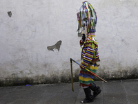 The annual parade of traditional costumes for the entroido, as the carnival is known in Galicia, takes place through the streets of Santiago...