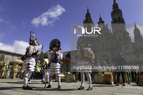 The annual parade of traditional costumes for the entroido, as the carnival is known in Galicia, takes place through the streets of Santiago...