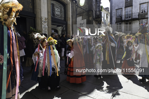 The annual parade of traditional costumes for the entroido, as the carnival is known in Galicia, takes place through the streets of Santiago...