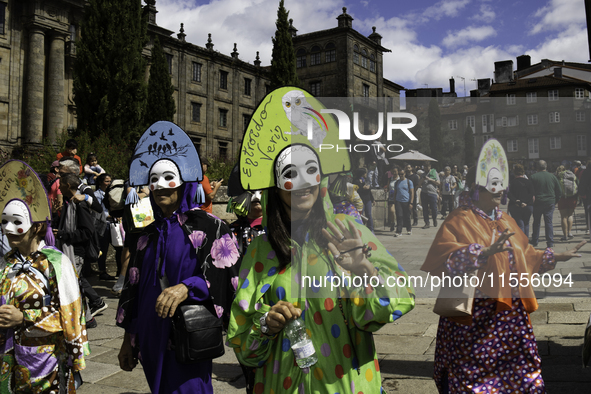 The annual parade of traditional costumes for the entroido, as the carnival is known in Galicia, takes place through the streets of Santiago...