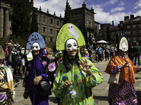 The annual parade of traditional costumes for the entroido, as the carnival is known in Galicia, takes place through the streets of Santiago...