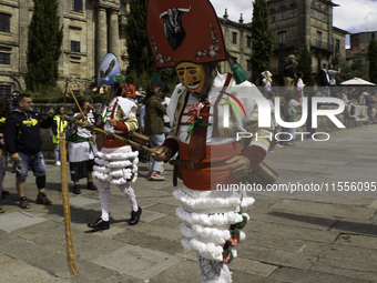 The annual parade of traditional costumes for the entroido, as the carnival is known in Galicia, takes place through the streets of Santiago...